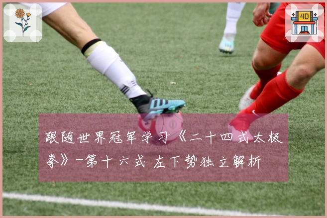 跟随世界冠军学习《二十四式太极拳》-第十六式 左下势独立解析