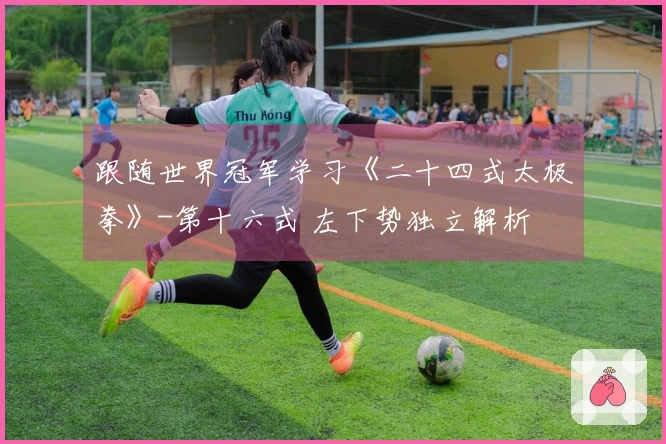 跟随世界冠军学习《二十四式太极拳》-第十六式 左下势独立解析